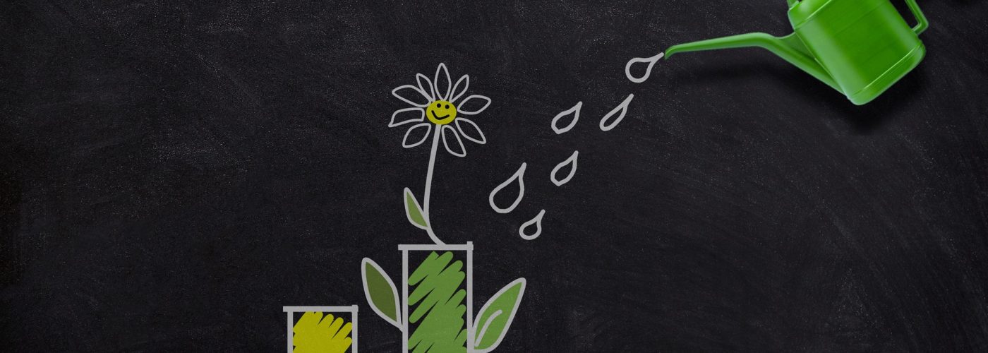 investment-g4fb234611_1920